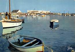 Delcampe - Pie-19-014 : LESCONIL - Lesconil