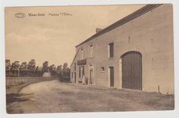 40003  -  Haut-Bois  Maison L' Elan - Gesves