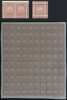ARGENTINA: GJ.61, 1882 ½c. Chestnut, COMPLETE SHEET OF 100 STAMPS. It Includes 10 Examples With The Variety 2 Without Se - Sonstige & Ohne Zuordnung