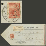 ARGENTINA: RARE POSTAGE: Cover That Contained A SAMPLE OF SEEDS WITHOUT VALUE, Sent By Registered Mail From Buenos Aires - Otros & Sin Clasificación