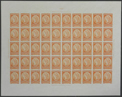 ARGENTINA: GJ.40, 1901 50c. Liberty Head, PROOF Printed On Thin Card With Glazed Card, Splendid COMPLETE SHEET Of 50 Exa - Dienstzegels