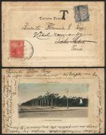 ARGENTINA: Postcard With Very Good View (Buenos Aires, Sarmiento Avenue, Editor A. Cantiello) Franked With GJ.244 (Liber - Altri & Non Classificati