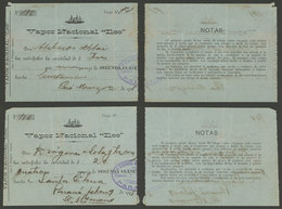 ARGENTINA: 2 Second-class Tickets For STEAMSHIP ILSE, Year 1905, Rare!" - Non Classés