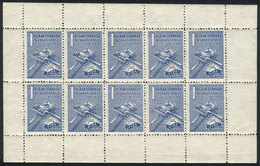 ARGENTINA: 1st Grand Meet Of Stamp Exchange, FIBA, Villa Ballester, Year 1961, Mini-sheet Of 10 Cinderellas, VF Quality, - Andere & Zonder Classificatie