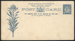 AUSTRALIA - NEW SOUTH WALES: 1½p. Postal Card Illustrated With FLOWERS, Unused, VF Quality! - Ungebraucht