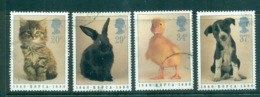 GB 1990 RSPCA FU Lot70239 - Non Classés