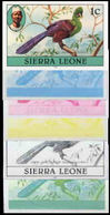 SIERRA LEONE 1980 Bird Turaco 1c Imprint 1981 1c Wmk CA PROGRESSIVE PROOFS:6 - Cuco, Cuclillos