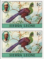 SIERRA LEONE 1980 Turaco Birds 1c Impr.1981 Wmk CA IMPERF.PAIR - Coucous, Touracos