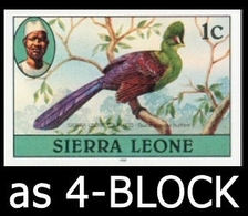 SIERRA LEONE 1980 Turaco Birds 1c Impr.1981 Wmk CA IMPERF.4-BLOCK - Cuco, Cuclillos