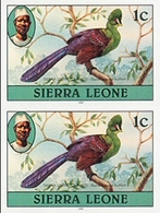 SIERRA LEONE 1980 Birds Turaco 1c Imp.1983 No Wmk IMPERF.PAIR - Coucous, Touracos