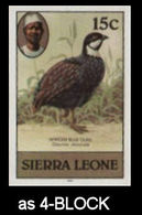 SIERRA LEONE 1980 Birds Blue Quail 15c Imp.1982 Wmk CA IMPERF.4-BLOCK - Ganzen