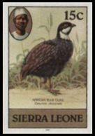 SIERRA LEONE 1980 Birds Green Blue Quail 15c Imp.1983 IMPERF. - Oies