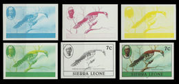 SIERRA LEONE 1980 Birds Didric Cuckoo 7c Imp.1982 PROGRESSIVE PROOFS:6 - Coucous, Touracos