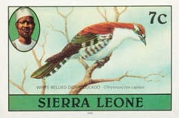 SIERRA LEONE 1980 Birds Didric Cuckoo 7c Imp.1982 Wmk CA IMPERF. - Ganzen