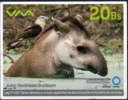 Bolivia 2018 - 23-09-19 VIVA MOVIL. Halcon Y Tapir En Peligro. Conservacion Internacional.Foto David I. Grunbaun. - Águilas & Aves De Presa