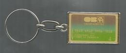 Porte Clefs, Clés , Carte Bleue CREDIT AGRICOLE , 2 Scans ,  Frais Fr 1.95 E - Key-rings