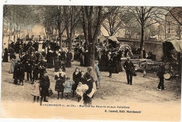 CPA  Marchenoir Marché Au Beurre Et Aux Volailles 41 Loire Et Cher Colorisé - Marchenoir