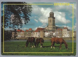 NL.- DEVENTER. Paarden In De Wei En Gezicht Op De Lebuines Kerk. - Deventer