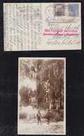 Brazil Brasil 1932 Zeppelin Picture Postcard PERNAMBUCO To MAINZ Germany Sieger 172 - Luftpost (private Gesellschaften)