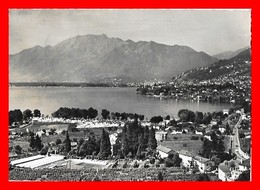 CPSM/gf TENERO-CONTRA (Suisse)  Vue Panoramique Sur Le Camping..*9394 - Tenero-Contra