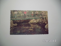 Bermuda. - The Devil's Hole. Natural Aquarium. - Bermuda