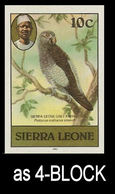 SIERRA LEONE 1980 Birds Parrot 10c Imp.1982 Wmk CA IMPERF.4-BLOCK - Oies