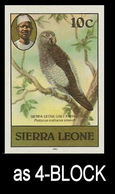 SIERRA LEONE 1980 Birds Grey Parrot 10c Imp.1983 No WMK IMPERF.4-BLOCK - Oies