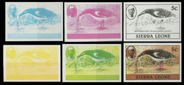 SIERRA LEONE 1980 Birds Goose 5c Imprint 1982 Wmk CA PROGRESSIVE PROOFS:6 Itemes - Ganzen