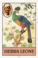 SIERRA LEONE 1980 Birds Great Blue Turaco 30c Imp.1982 Wmk CA IMPERF. - Coucous, Touracos