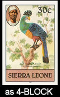 SIERRA LEONE 1980 Birds Great Blue Turaco 30c Imp.1983 No Wmk IMPERF.4-BLOCK - Coucous, Touracos