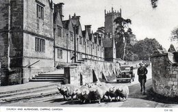 Chipping Campden. Church And Almshouses. (Sheeps On The Picture). - Autres & Non Classés
