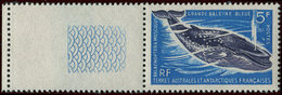 ** T.A.A.F. 22 : 5f. Bleu Et Violet, Bdf, TB - Unused Stamps