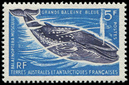 ** T.A.A.F. 22 : 5f. Baleine, TB - Unused Stamps