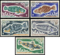 ** T.A.A.F. 34/38 : Série Poissons De 1971, TB - Unused Stamps