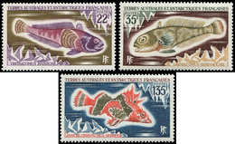 ** T.A.A.F. 43/45 : Série Poissons De 1972, TB - Unused Stamps