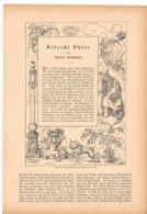 A102 250 Albrecht Dürer Artikel Mit 15 Bildern Von 1886 !! - Malerei & Skulptur