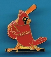 PIN'S //    ** BASEBALL / CARDINALS De SAINT-LOUIS ** - Baseball