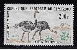 Cameroun Poste Aérienne N°55 - Oiseaux - Neuf ** Sans Charnière -  TB - Camerun (1960-...)