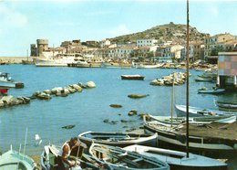 Isola Del Giglio - Il Porto - Otras Ciudades