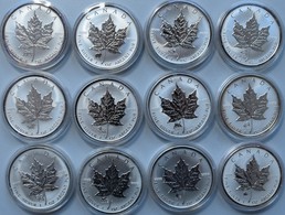 Kanada: Maple Leaf Privy Mark Tierkreiszeichen. Komplett Set 12 Münzen (je 5 CAD / 1 OZ Silber) 1998 - Canada