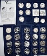 Alle Welt: Sammlung Olympische Spiele Mit 31 Silbermünzen. Dabei 20 Zloty Polen 1995 - Atlanta 1996, - Other & Unclassified