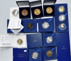 Medaillen - ECU: Bevor Der "echte" EURO Kam: 18 Diverse Medaillen / Städte-Euro-Münzen. Dabei Euro D - Autres & Non Classés