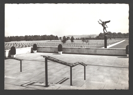 Henri-Chapelle / Hendrik-Kapelle - Cimetière Américain D'Henri-Chapelle - Carte Photo éd. Impr. Willems Jos - Welkenraedt