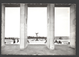 Henri-Chapelle / Hendrik-Kapelle - Cimetière Américain D'Henri-Chapelle - Carte Photo éd. Impr. Willems Jos - Welkenraedt