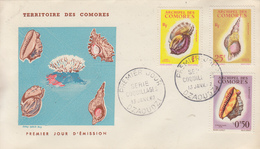 Enveloppe  FDC  1er  Jour   ARCHIPEL  DES  COMORES    Coquillages    1962 - Autres & Non Classés