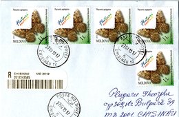 MOLDOVA,    Letter,    Butterflies    /    MOLDOLVIE,     Lettre,   Papillons   2013 - Vlinders