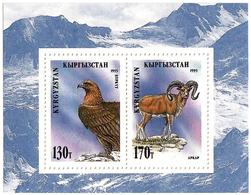 Kyrgyzstan.1995 Fauna(Birds,Mountains. S/S (130,170). Michel # BL 7 - Kirgisistan