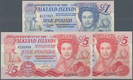 Falkland Islands / Falkland Inseln: Set 3 Notes Containing 2x 1 Pound 1983 P. 12 (UNC) And 1 Pound 1 - Falklandeilanden