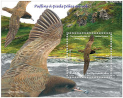 TAAF  2019  Puffins  Vogels Birds   Blok-m/s   Mnh/neuf - Ongebruikt