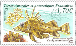 TAAF  2019 Poisson Cacique  Fish Vis    Mnh/neuf - Unused Stamps